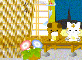asagao0816.gif