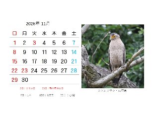 cal202611s.jpg